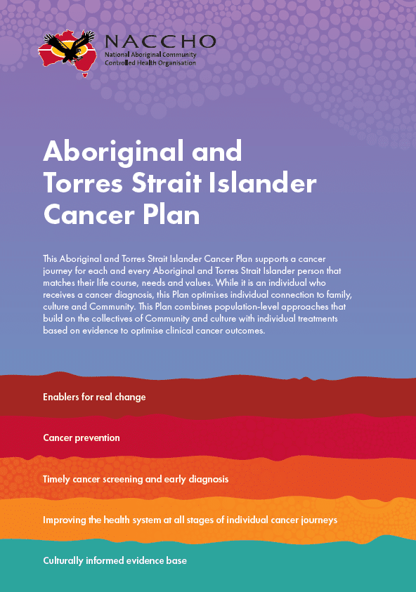 NACCHO Cancer Plan - cover image