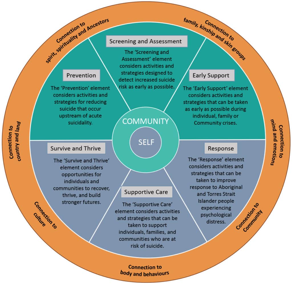 CCC Model of Care picture